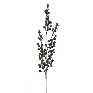 Blueberry Spray
