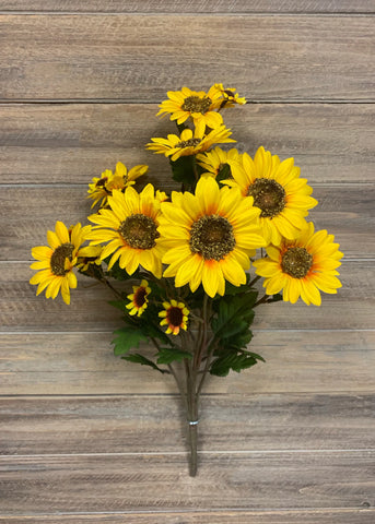 Sunflower Bush