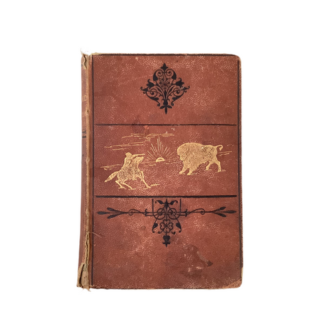Vintage ‘ The Great Lone Land’ Book