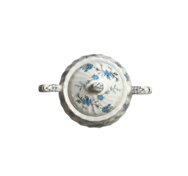 Vintage "Forget Me Knot" Myott Staffordshire, England Bone China Sugar Bowl