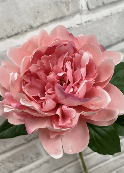 Pink Peony Stem 23"