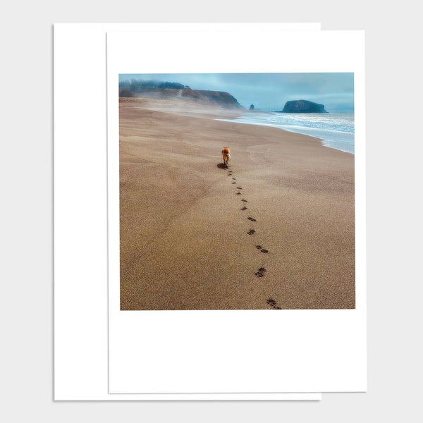 Dog Beach Pawprints Sympathy Greeting Card