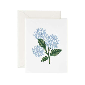 Hydrangea Bloom Card