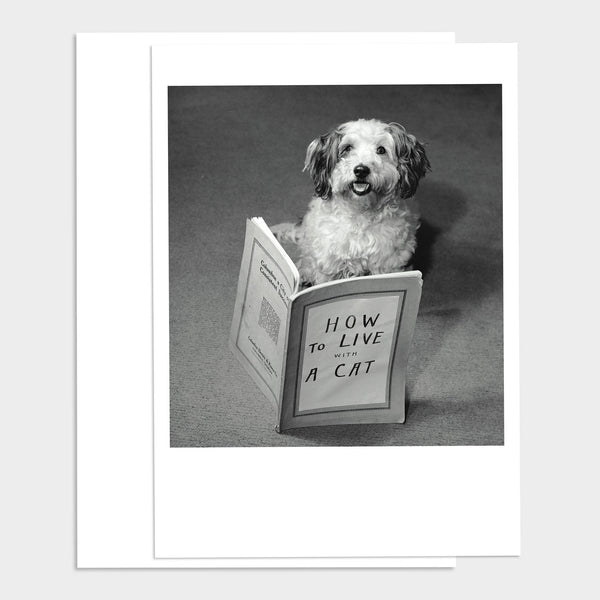 Conquer It All Birthday Card
