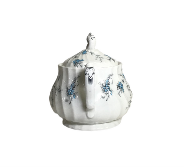 Vintage "Forget Me Knot" Myott Staffordshire, England Bone China Sugar Bowl