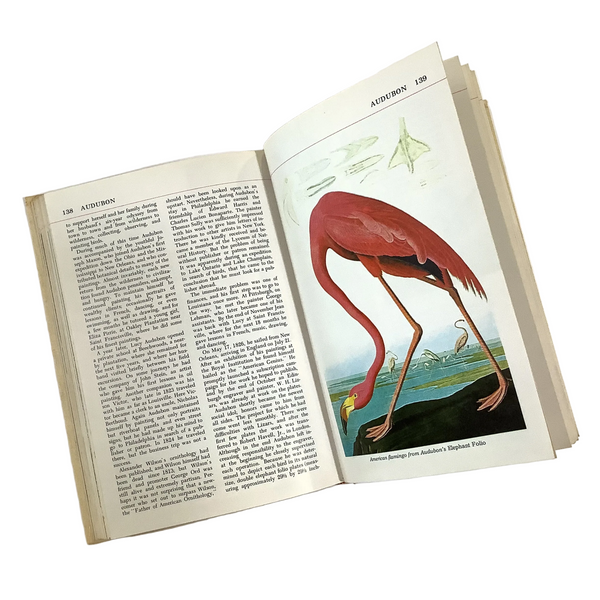 Vintage Audubon Vol 1 1965 Book