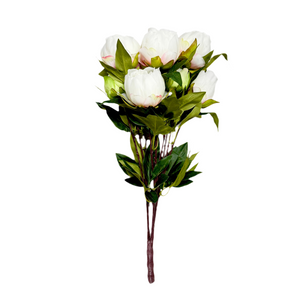 White Peony Bush