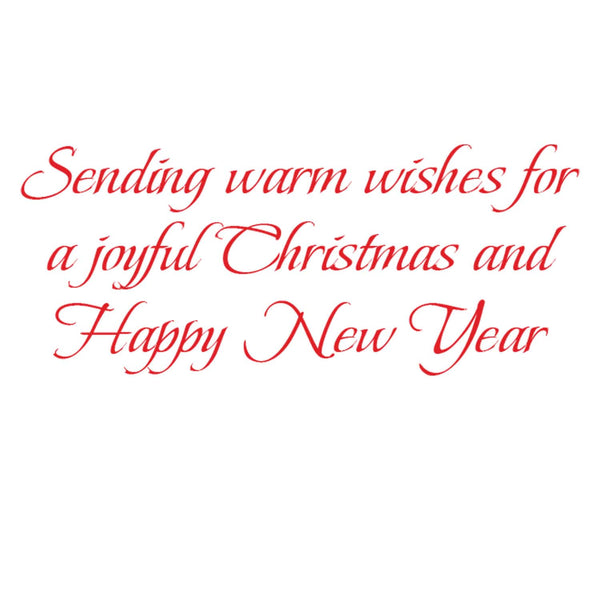 Amaryllis Illuminated Petite Boxed Christmas Cards
