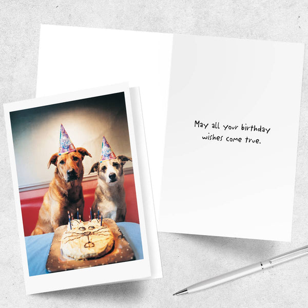 Dogs Birthday Party Happy Birthday Greeting Card