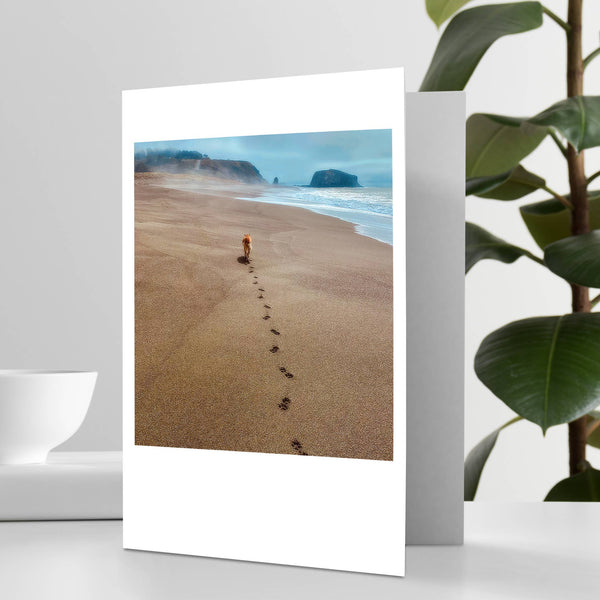 Dog Beach Pawprints Sympathy Greeting Card