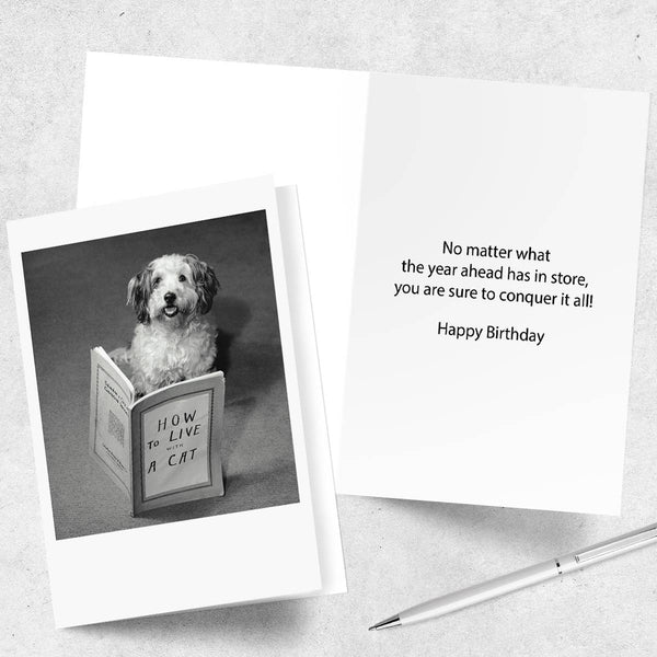 Conquer It All Birthday Card