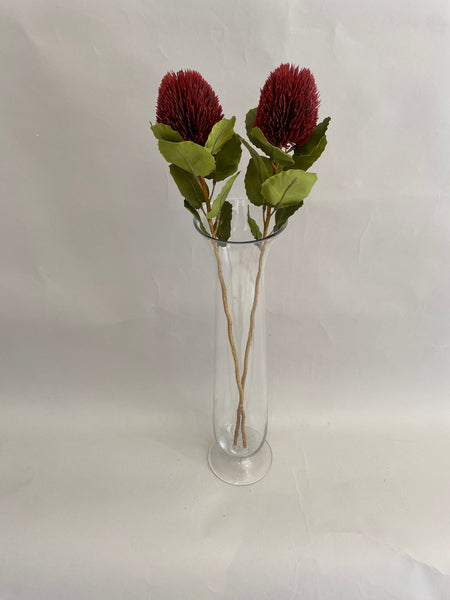 Burgundy Banksia Stem