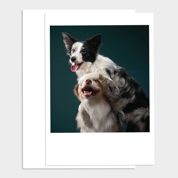 Two Dogs Hugging Happy Birthday Greeting Card