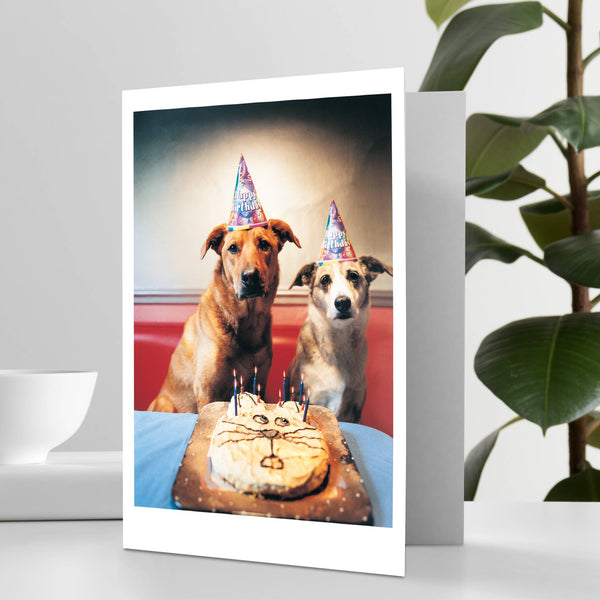 Dogs Birthday Party Happy Birthday Greeting Card