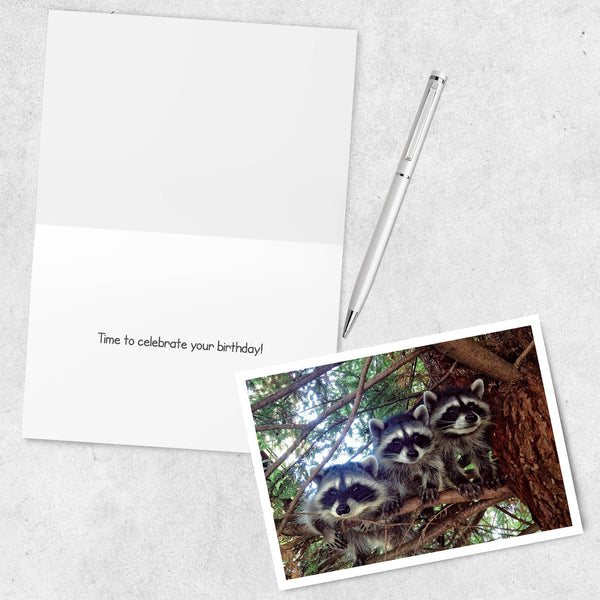 Three Raccoons Happy Birthday Greeting Card
