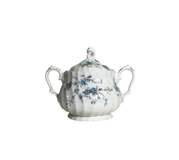 Vintage "Forget Me Knot" Myott Staffordshire, England Bone China Sugar Bowl