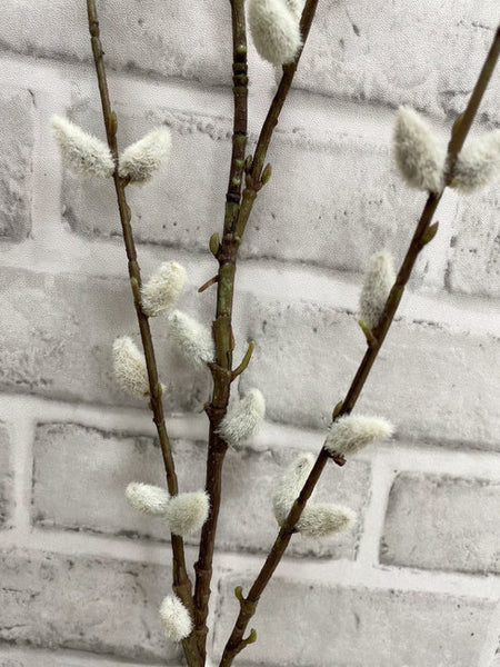 Pussy Willow Spray