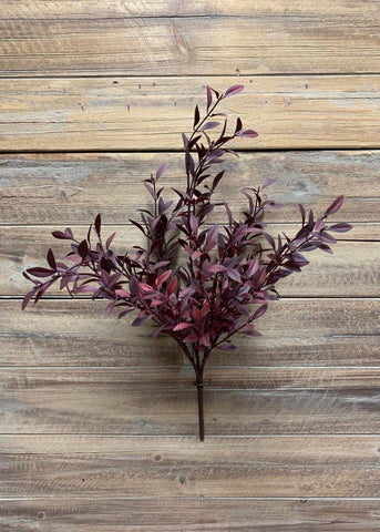 Burgundy Willow Leaves Bush