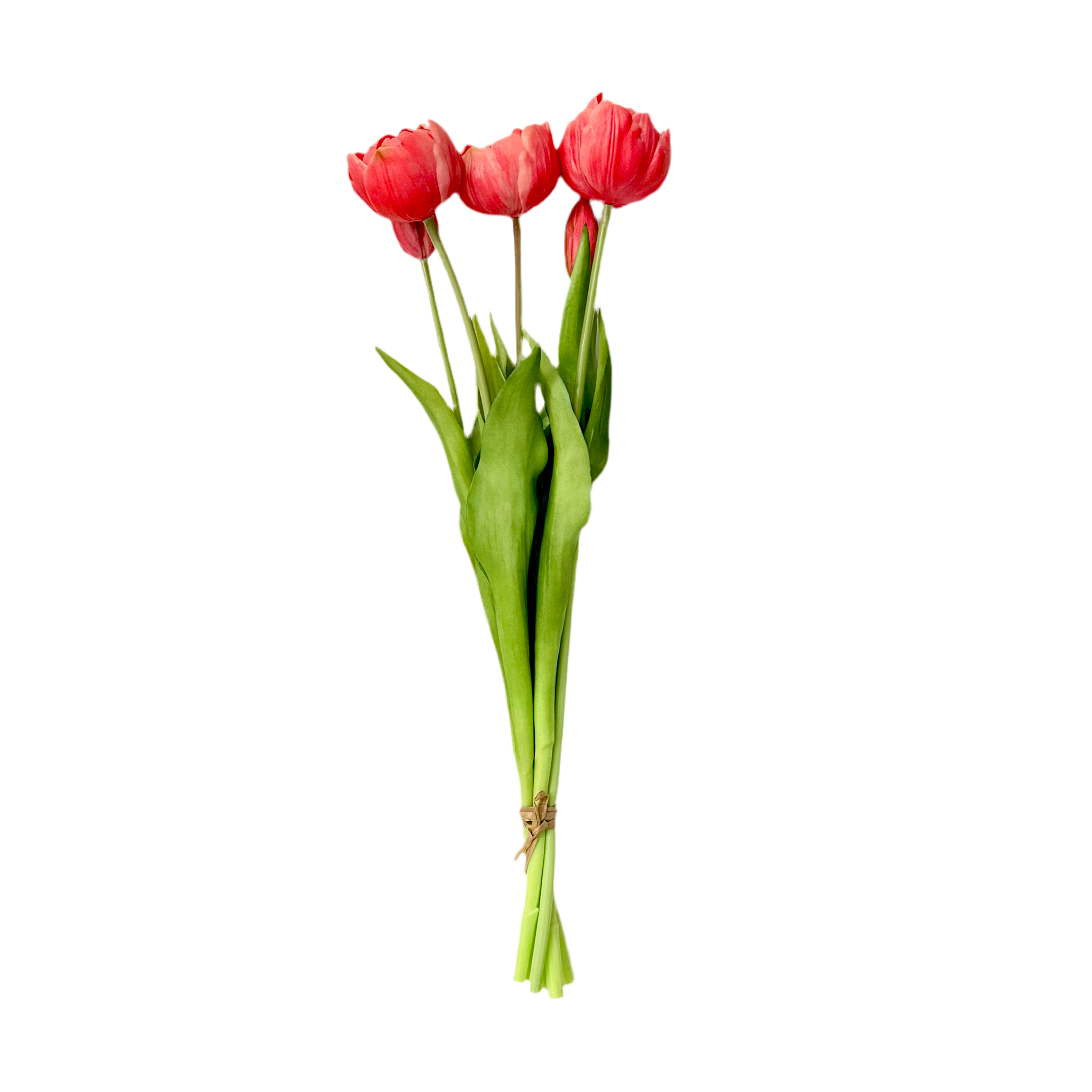 Strawberry Pink Peony Tulip Bundle - 18”