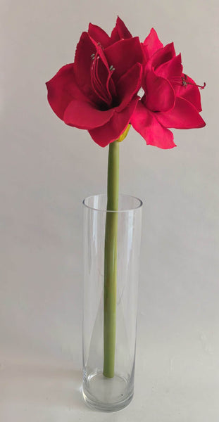 Red Amaryllis Stem 26”
