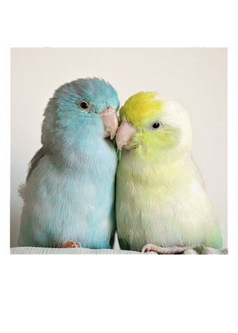 Snuggles Card