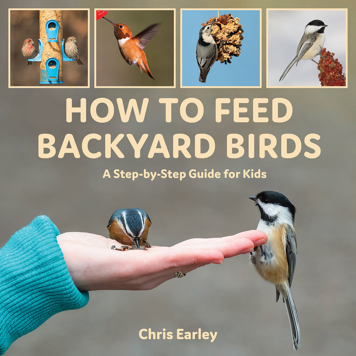 How to Feed Backyard Birds Book: A Step-by-Step Guide for Kids