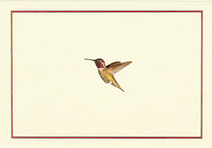Hummingbird Flight Note Cards