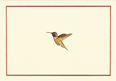 Hummingbird Flight Note Cards