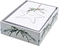 Shining Star Small Boxed Cards