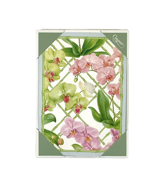 Orchid Conservatory Boxed Note Cards - 8 Cards and 8 Envelopes per Package by Caspari