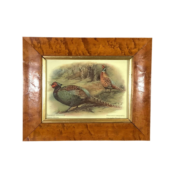 Pair of Vintage Japanese Pheasant & Ring-Necked Pheasant Prints