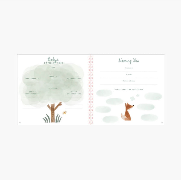 Baby’s First Years Album