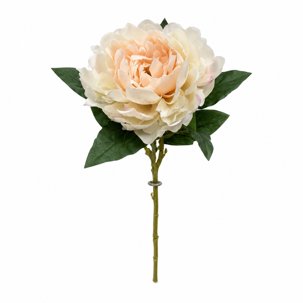 Blush Peony Stem 23"