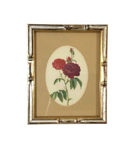 Vintage Red & Purple Rose Botanical Florentine Framed Print
