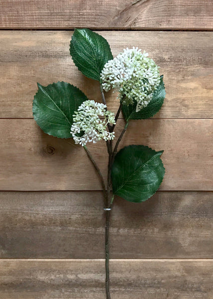 White Patrinia Spray 28"