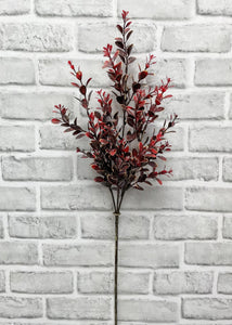 Burgundy Euonymus Spray