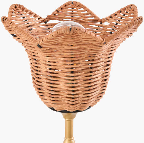 Fuori Wall Sconce