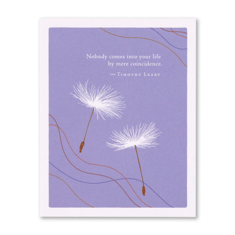 Nobody Comes Into Your Life By Mere Coincidence Card