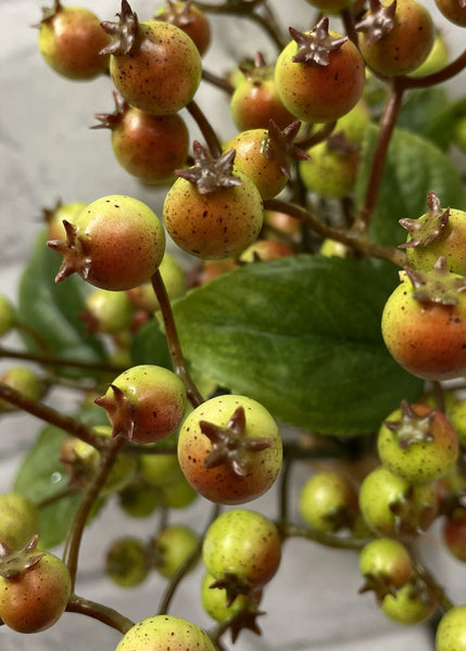 Green Berry Bundle