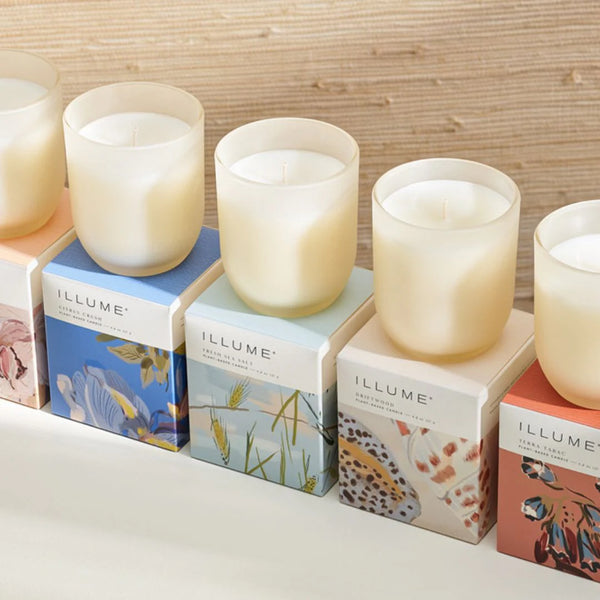 Illume Citrus Crush Baby Boxed Glass Candle