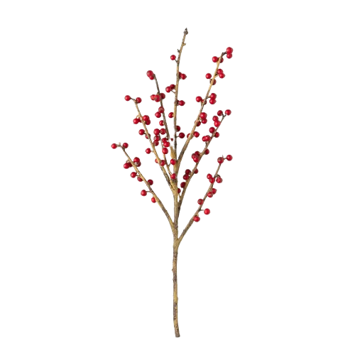 Red Berry Spray
