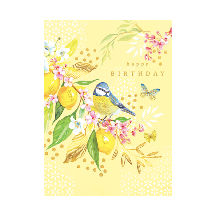 Bluebird Birthday Card