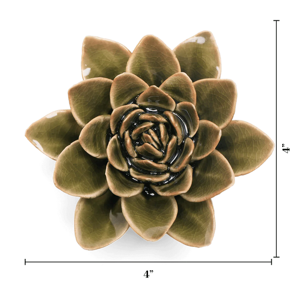 Olive Green Echeveria