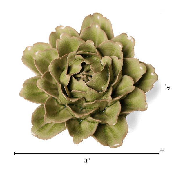 Peridot Comanche Peony