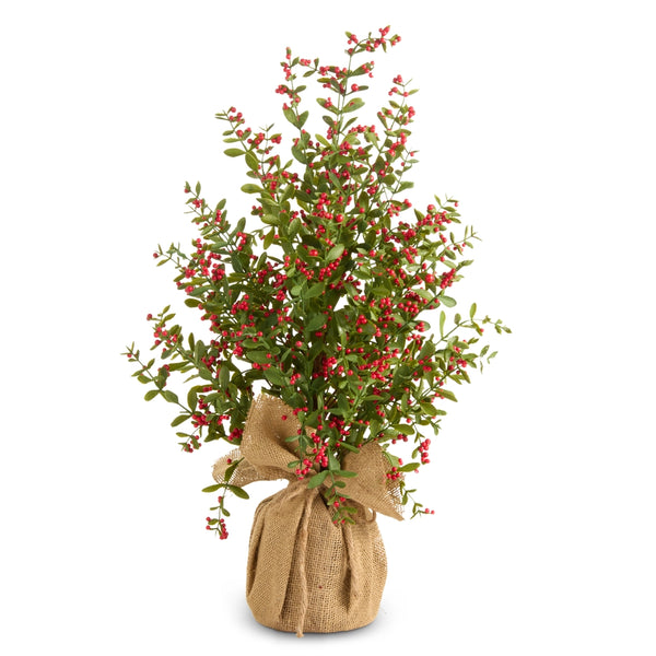 Red Berry Tree In Burlap Bag