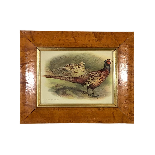 Pair of Vintage Japanese Pheasant & Ring-Necked Pheasant Prints