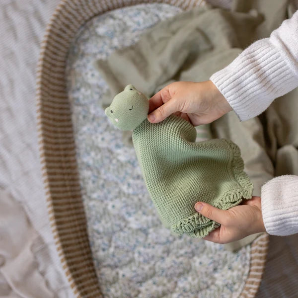 Avery Row - Cuddle Cloth - Friendly Frog