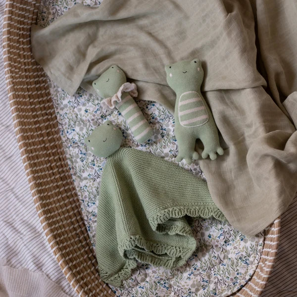 Avery Row - Cuddle Cloth - Friendly Frog
