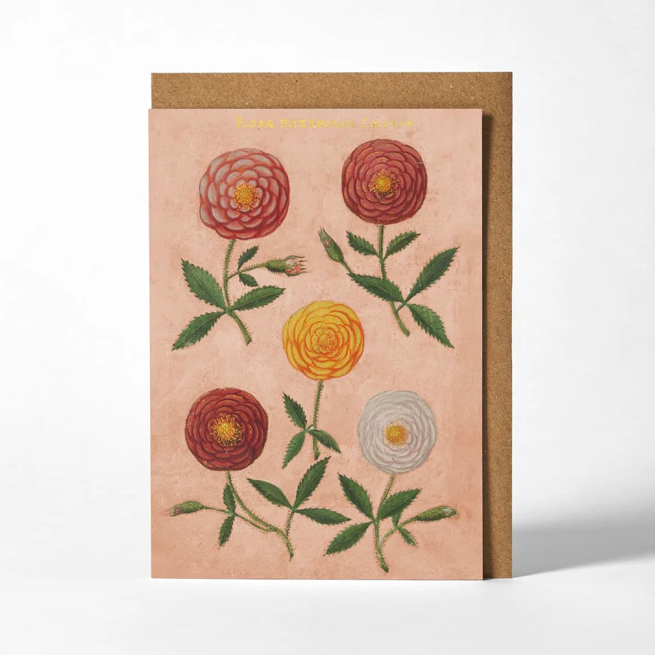 Pink Festival of Flowers Blank Card