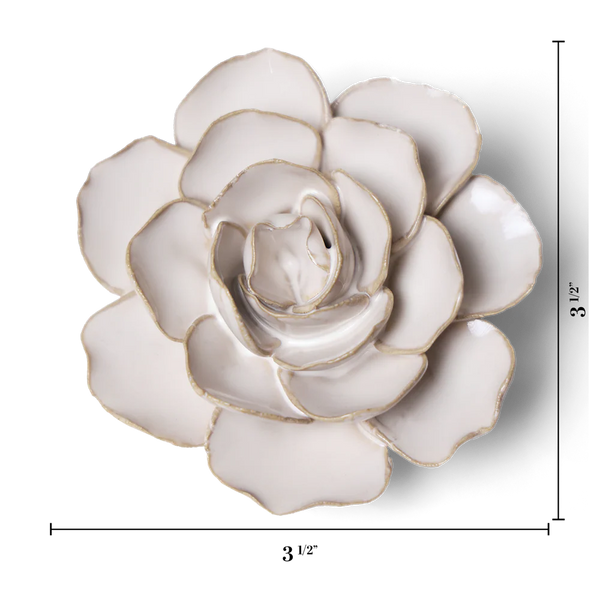 Ivory Amandine Ranunculus